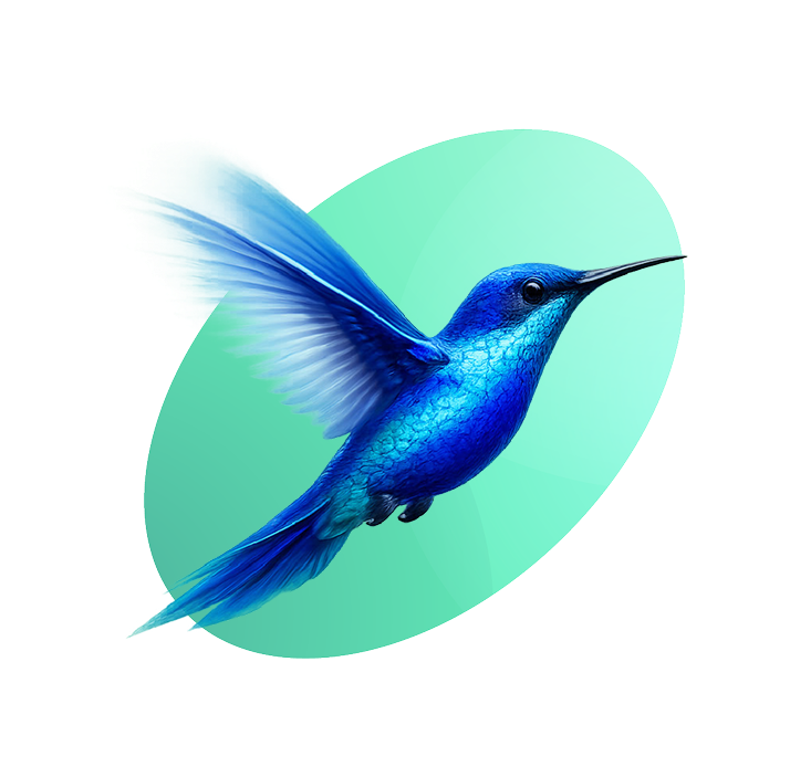 Pájaro representando la evolución de Menoroigual.com a QUO